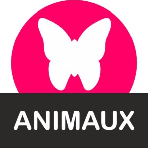 Supports à bonbons en polystyrène en forme d'animaux